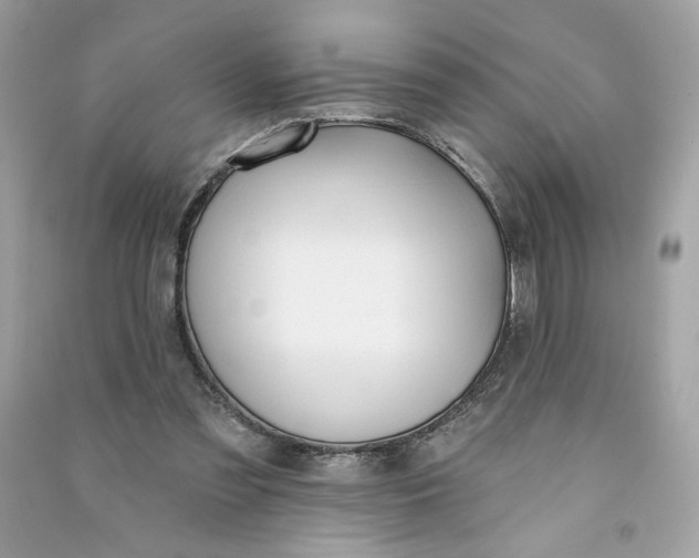 X0000090750301200708101731