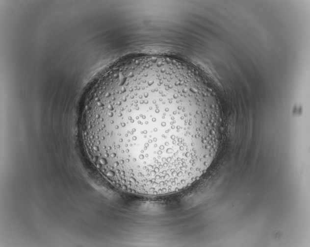 X0000090750303200708101731