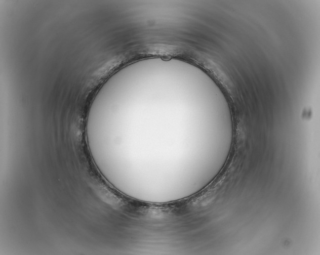 X0000090750305200708101731