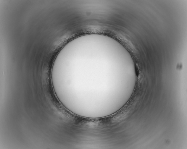 X0000090750306200708101731