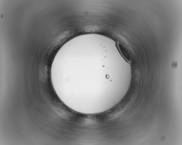 X0000090750308200708101731