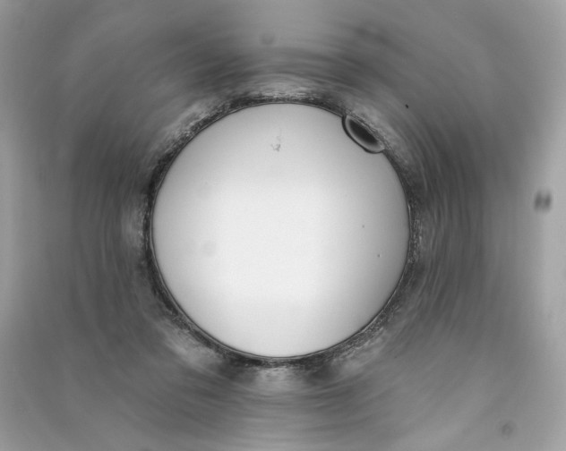 X0000090750309200708101731