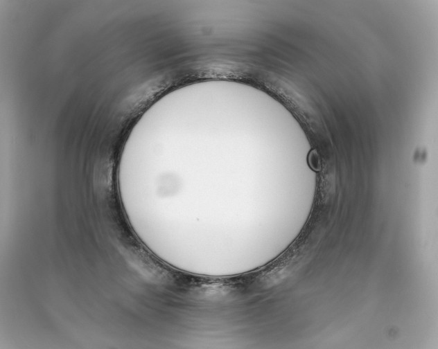 X0000090750310200708101731