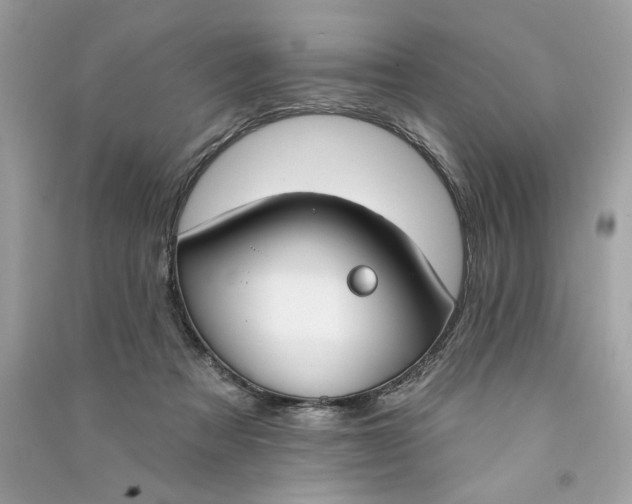 X0000090750313200708101731