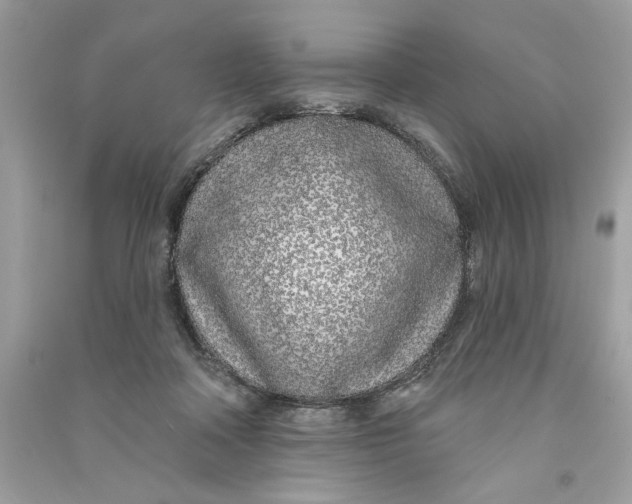 X0000090750314200708101731