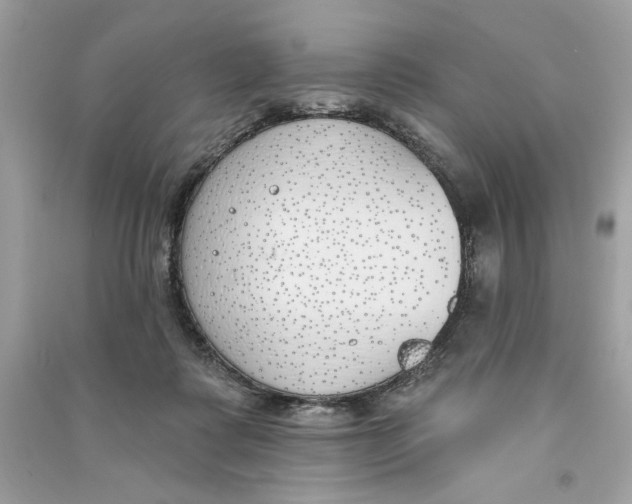 X0000090750315200708101731