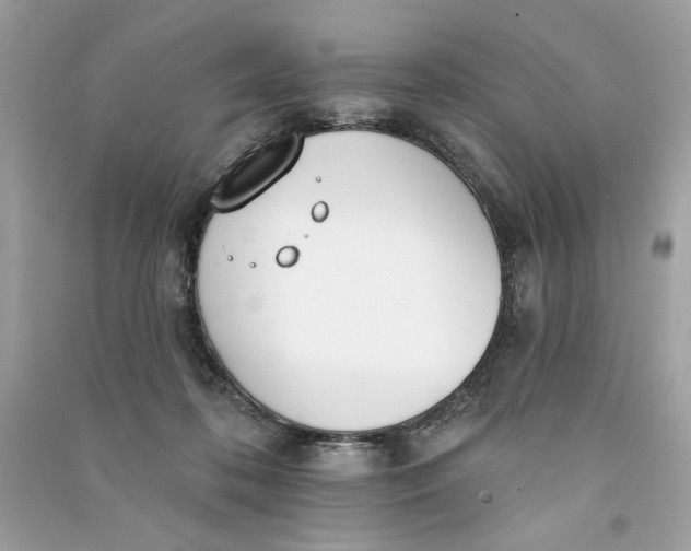 X0000090750316200708101731