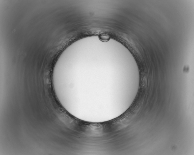X0000090750317200708101730