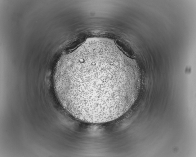 X0000090750319200708101730