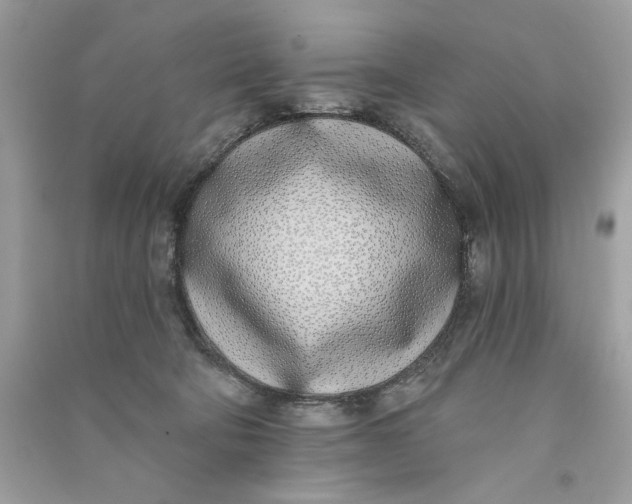 X0000090750322200708101730