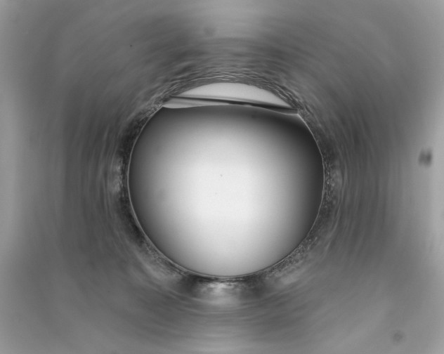 X0000090750323200708101730