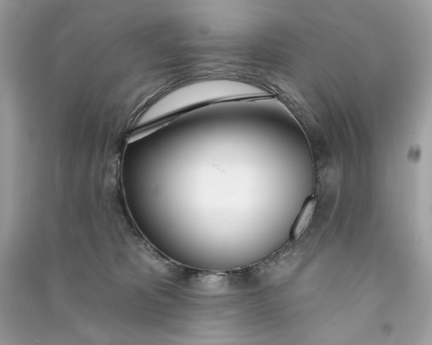 X0000090750325200708101730