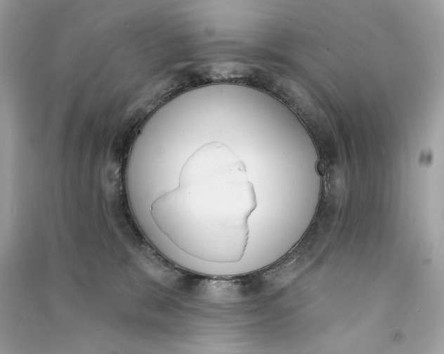 X0000090750327200708101730