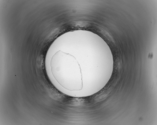 X0000090750328200708101730