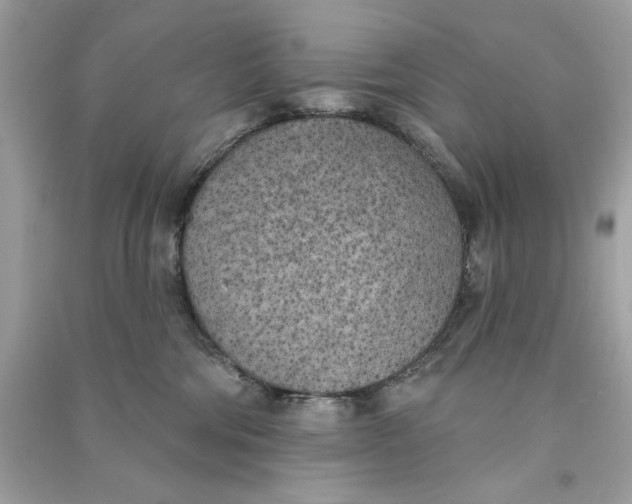 X0000090750330200708101730