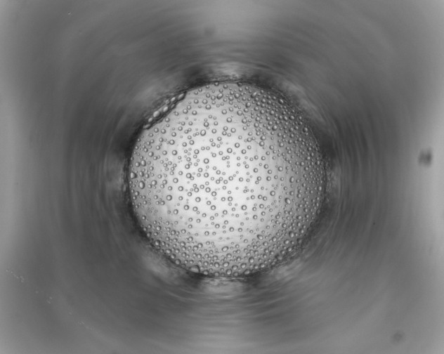 X0000090750331200708101730