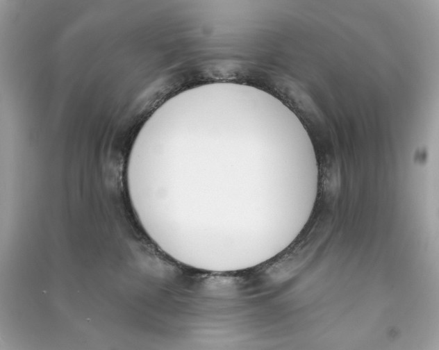 X0000090750332200708101730