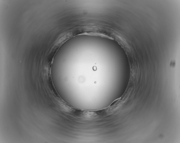 X0000090750333200708101730