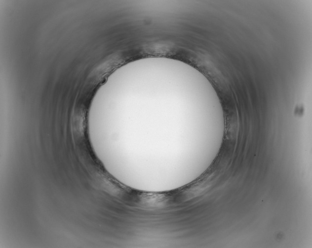 X0000090750334200708101730