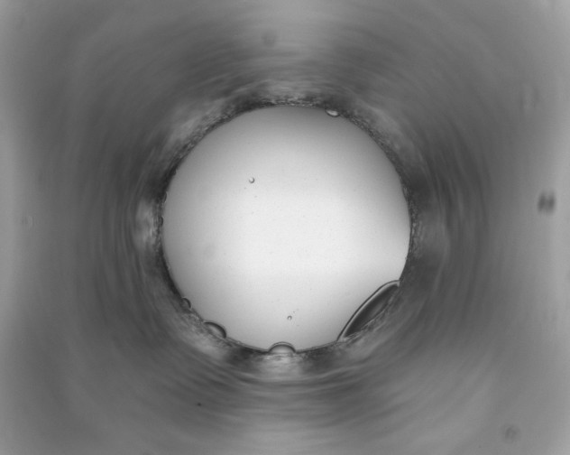 X0000090750335200708101730
