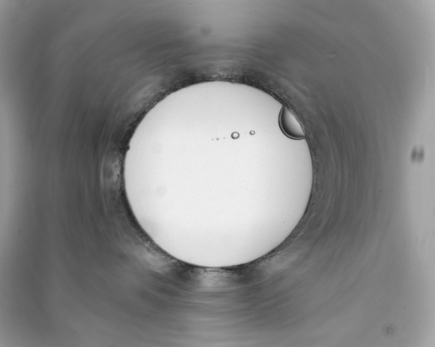 X0000090750336200708101730