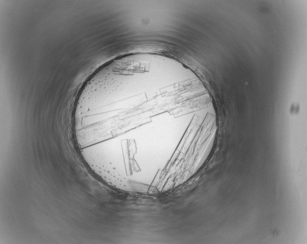 X0000090750337200708101730