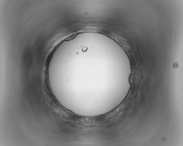 X0000090750338200708101730