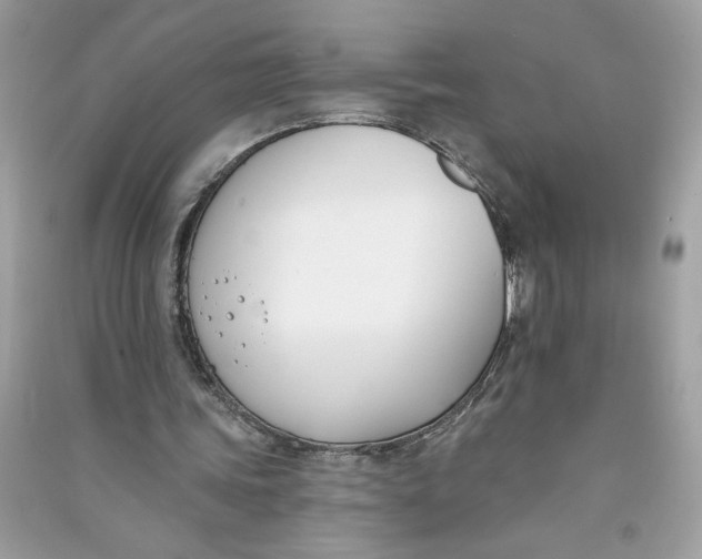 X0000090750339200708101730