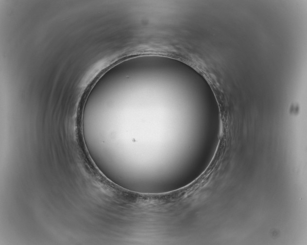 X0000090750340200708101730