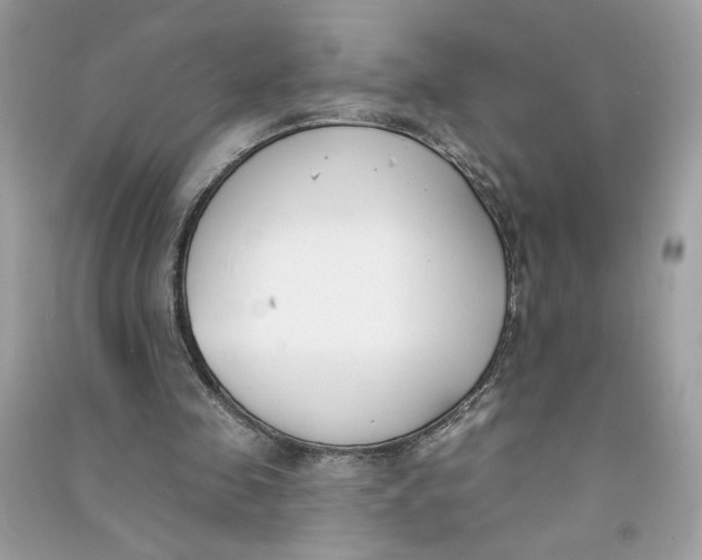 X0000090750341200708101730