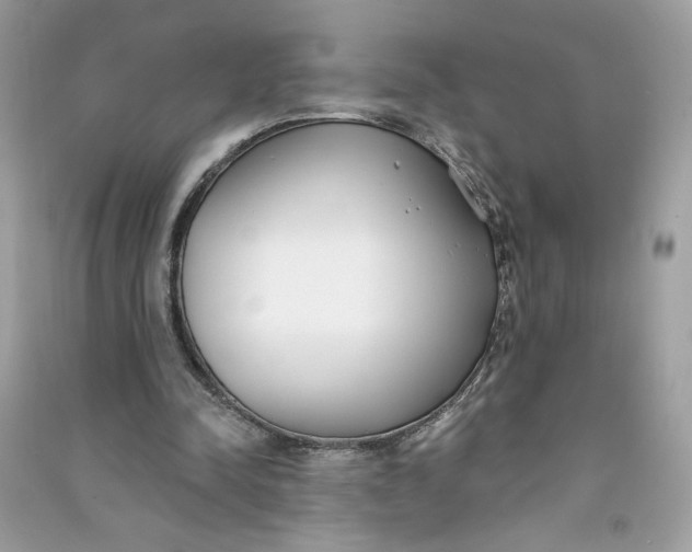 X0000090750342200708101730