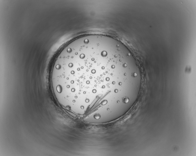 X0000090750343200708101730
