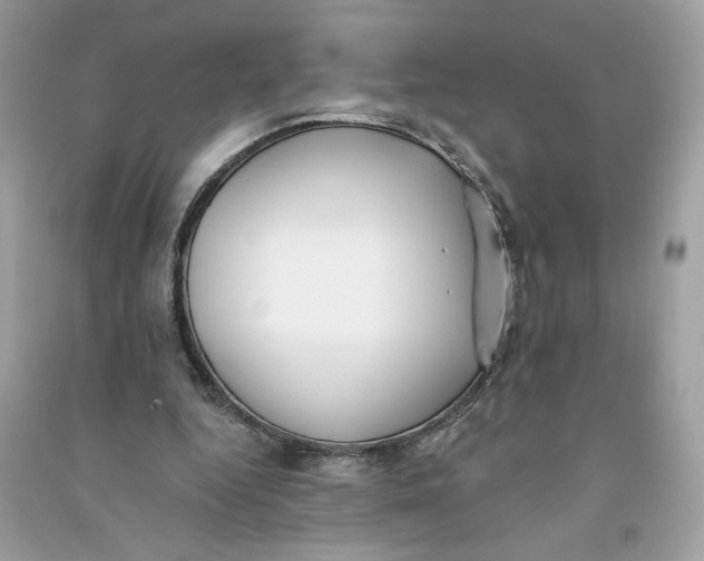 X0000090750344200708101730