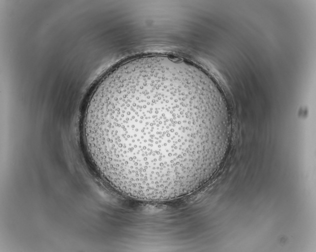 X0000090750346200708101730