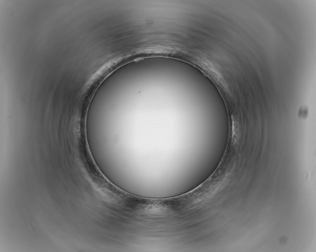 X0000090750348200708101730