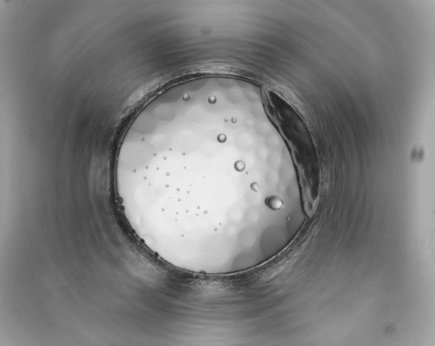X0000090750349200708101730