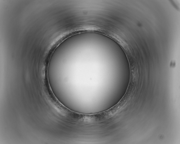 X0000090750350200708101730