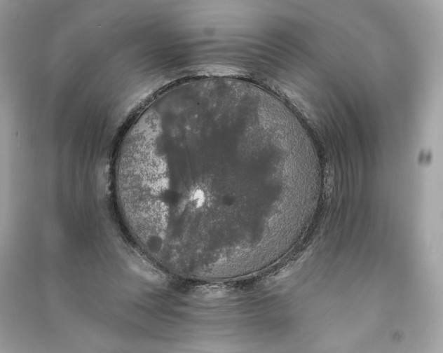 X0000090750351200708101730