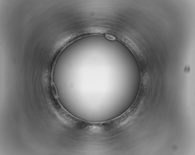 X0000090750352200708101730