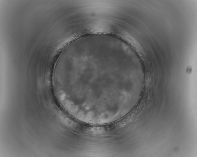 X0000090750353200708101730