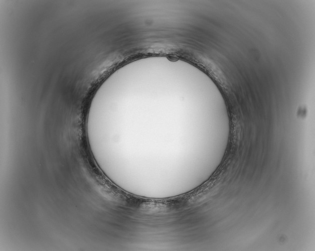 X0000090750354200708101730