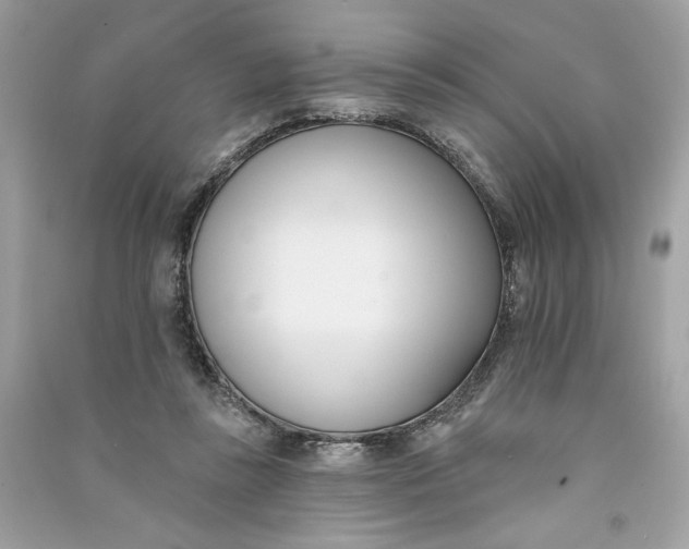 X0000090750355200708101730