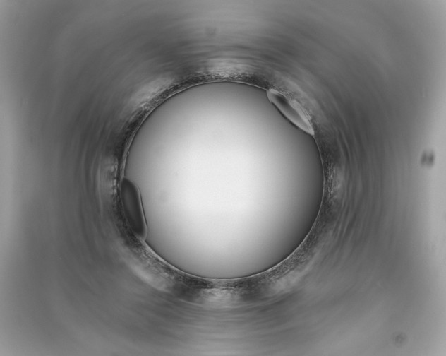 X0000090750356200708101730