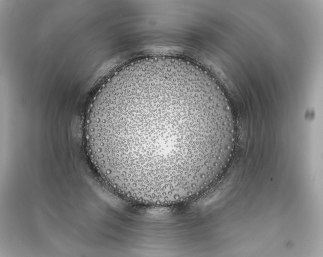 X0000090750357200708101730