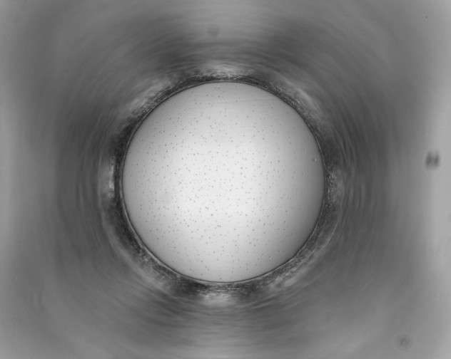 X0000090750358200708101730