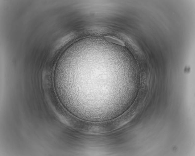 X0000090750360200708101730