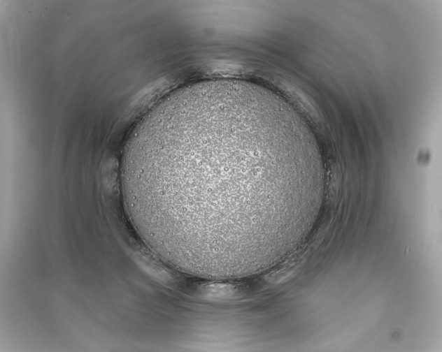 X0000090750361200708101730