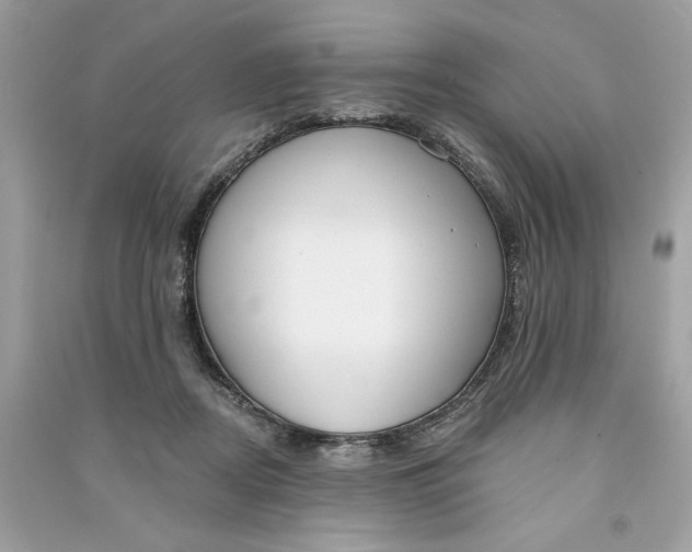 X0000090750362200708101730