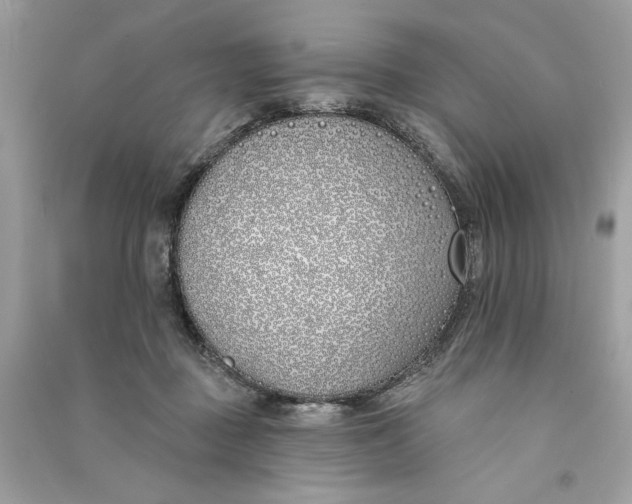 X0000090750363200708101730