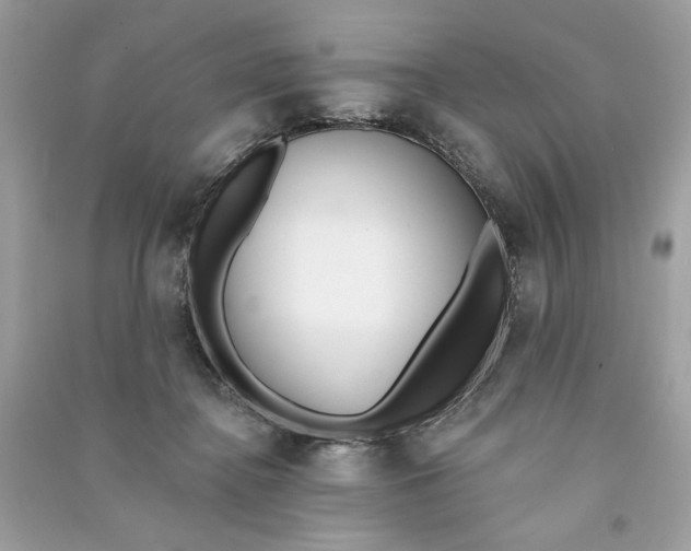 X0000090750364200708101730